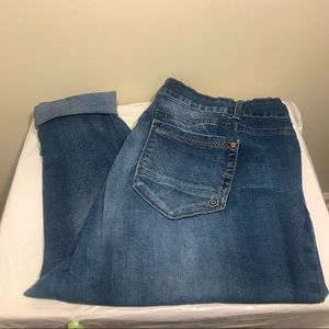 Indigo Rein Ankle Mid Wash Jean Size 22R